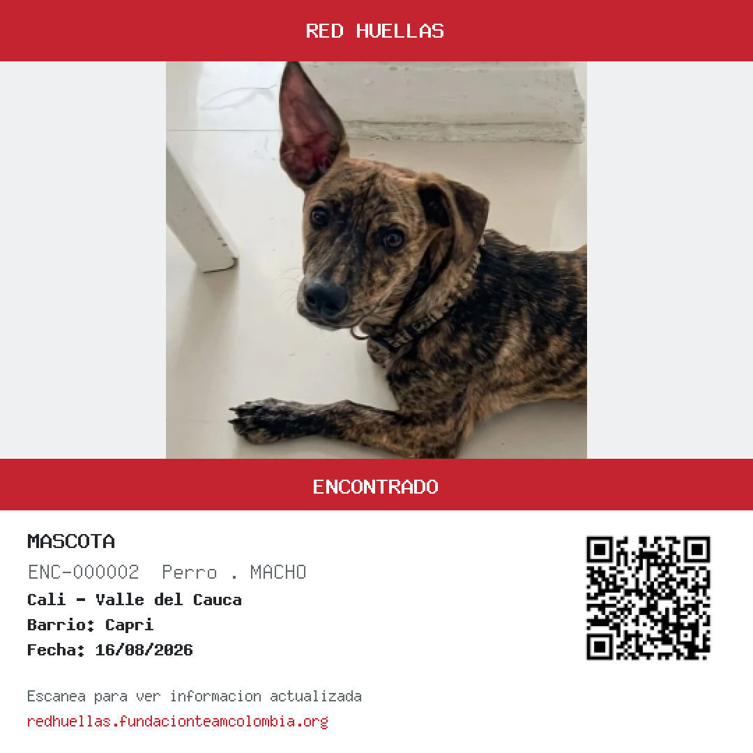 Tarjeta para compartir de Mascota ENC-000002